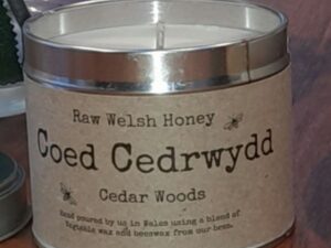 Coed Cedrwydd (Cedar Woods)
