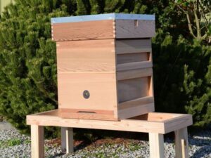 Hive with bees