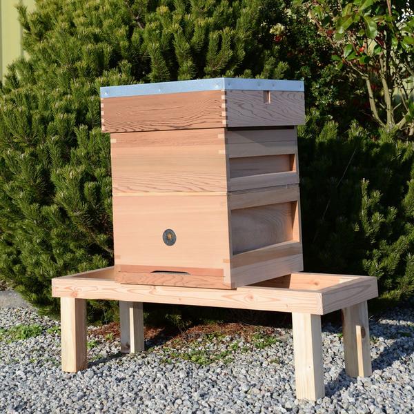 Hive with bees
