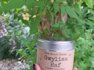 Gwyliau Haf (Summer Holiday)