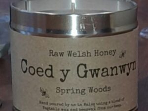 Coed y Gwanwyn (Spring Woods)
