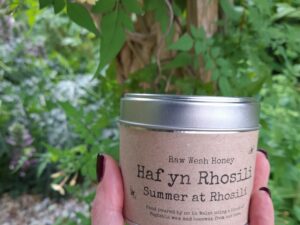 Haf yn Rhosili (Summer at Rhosilli)