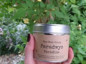 Paradwys (Paradise)