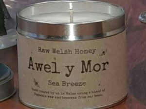 Awel y Môr (Sea Breeze)