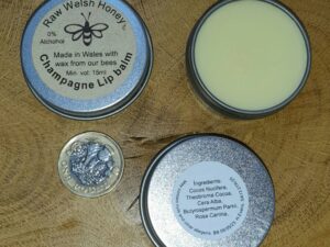 Champagne Lip balm